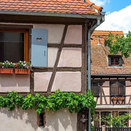 Le Nid De Birsa, 3 Etoiles, Hebergement De Tres Bon Confort Boersch Exterior foto