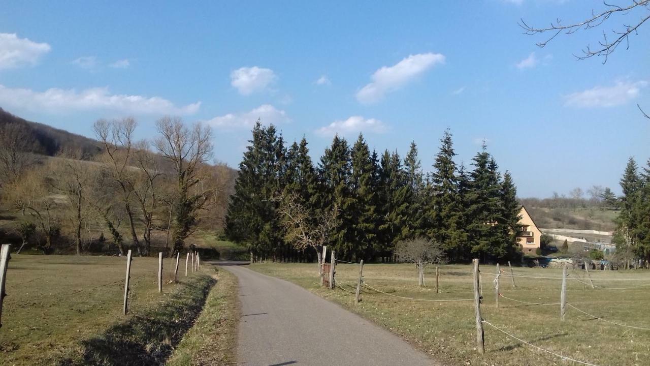 Le Nid De Birsa, 3 Etoiles, Hebergement De Tres Bon Confort Boersch Exterior foto