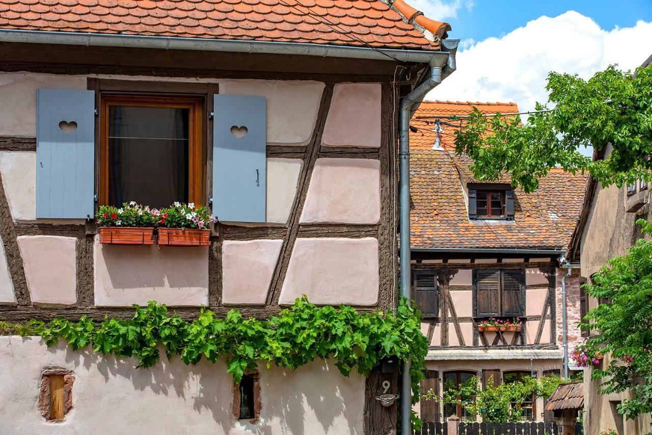 Le Nid De Birsa, 3 Etoiles, Hebergement De Tres Bon Confort Boersch Exterior foto