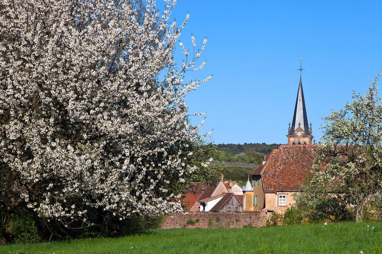 Le Nid De Birsa, 3 Etoiles, Hebergement De Tres Bon Confort Boersch Exterior foto